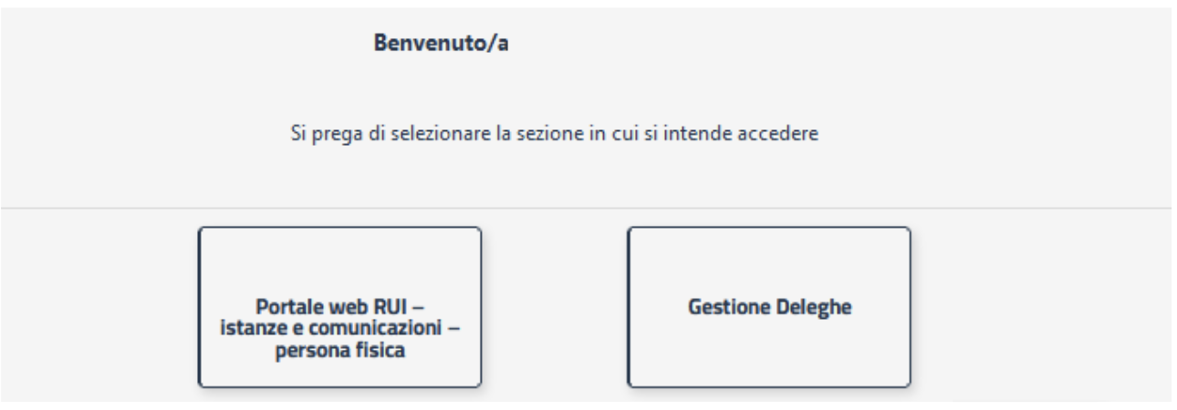 nuovo-rui-ivass-online